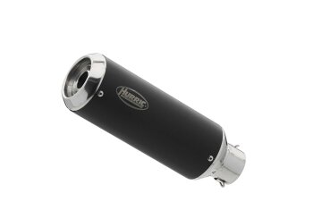 Auspuff YAMAHA FZ8 2010-2016 RN25 HURRIC Lap 1 Slip on...
