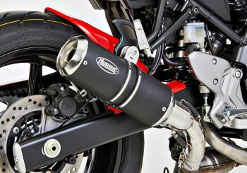 Auspuff YAMAHA YZF-R3 2015-2016 RH07 HURRIC Lap 1 Slip on...