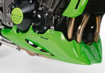 KAWASAKI Z1000 2003-2004 ZRT00A BODYSTYLE Bugspoiler