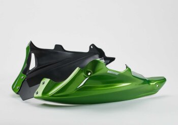KAWASAKI Z750 2007-2009 ZR750L BODYSTYLE Bugspoiler