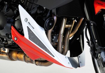 KAWASAKI Z1000 2010-2013 ZRT00D BODYSTYLE Bugspoiler