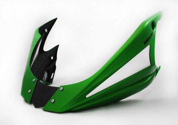 KAWASAKI Z1000 2014-2016 ZRT00F BODYSTYLE Bugspoiler