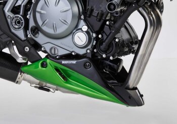 KAWASAKI Z650 2017-2019 ER650H BODYSTYLE Bugspoiler
