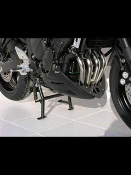 YAMAHA FZ6 S2 2009-2010 RJ14 BODYSTYLE Bugspoiler