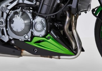KAWASAKI Z900 2019-2019 ZR900B/D BODYSTYLE Bugspoiler