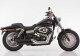 Auspuff HARLEY DAVIDSON DYNA Wide Glide 2013-2016 FXDWG FALCON Double Groove Slip on Ers