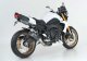 Auspuff YAMAHA FZ8 Fazer 2010-2016 RN25 SHARK Street GP Slip on Ersatzd&auml;mpfer (4-1) Supe