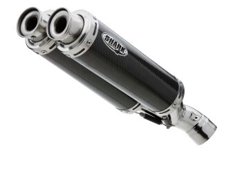 Auspuff YAMAHA YZF-R1 2007-2008 RN19 SHARK Track 1000 Slip on Ersatzd&auml;mpfer (4-2)