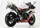 Auspuff YAMAHA YZF-R1 2007-2008 RN19 SHARK Track 1000 Slip on Ersatzd&auml;mpfer (4-2)