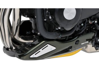 BODYSTYLE Bugspoiler f&uuml;r KAWASAKI Z900 RS ZR900K Bj....
