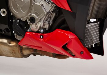 BODYSTYLE Bugspoiler f&uuml;r BMW S 1000 R K47 999 ccm...