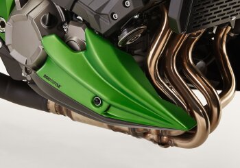 BODYSTYLE Bugspoiler f&uuml;r KAWASAKI Z800e ZR800C/D 806...