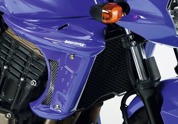 BODYSTYLE K&uuml;hlerseitenverkleidung f&uuml;r KAWASAKI...