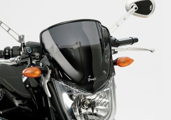 ERMAX Naked-Bike-Scheibe f&uuml;r YAMAHA FZ1 RN16 998 ccm Bj. 2006-2015