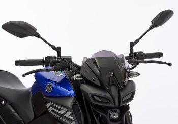 ERMAX Naked-Bike-Scheibe f&uuml;r YAMAHA MT-125 RE40 124...